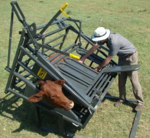Calf and Tollie Tilt Clamp