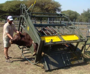 Cattle Tilt Clamp