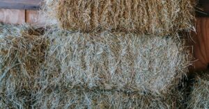Close-up view of dry hay bales stacked neatly in a rustic wooden barn indoors.